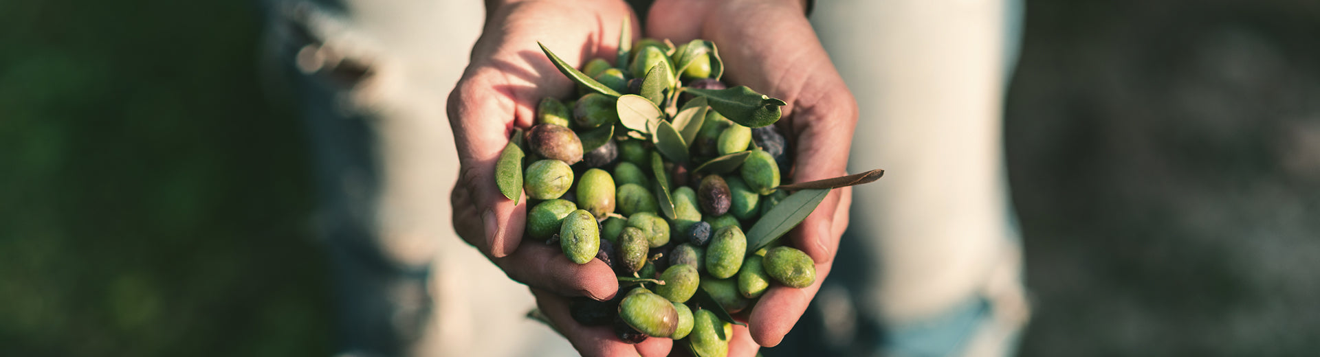 Beneficios del aceite de oliva en la cocina y en el bienestar diario